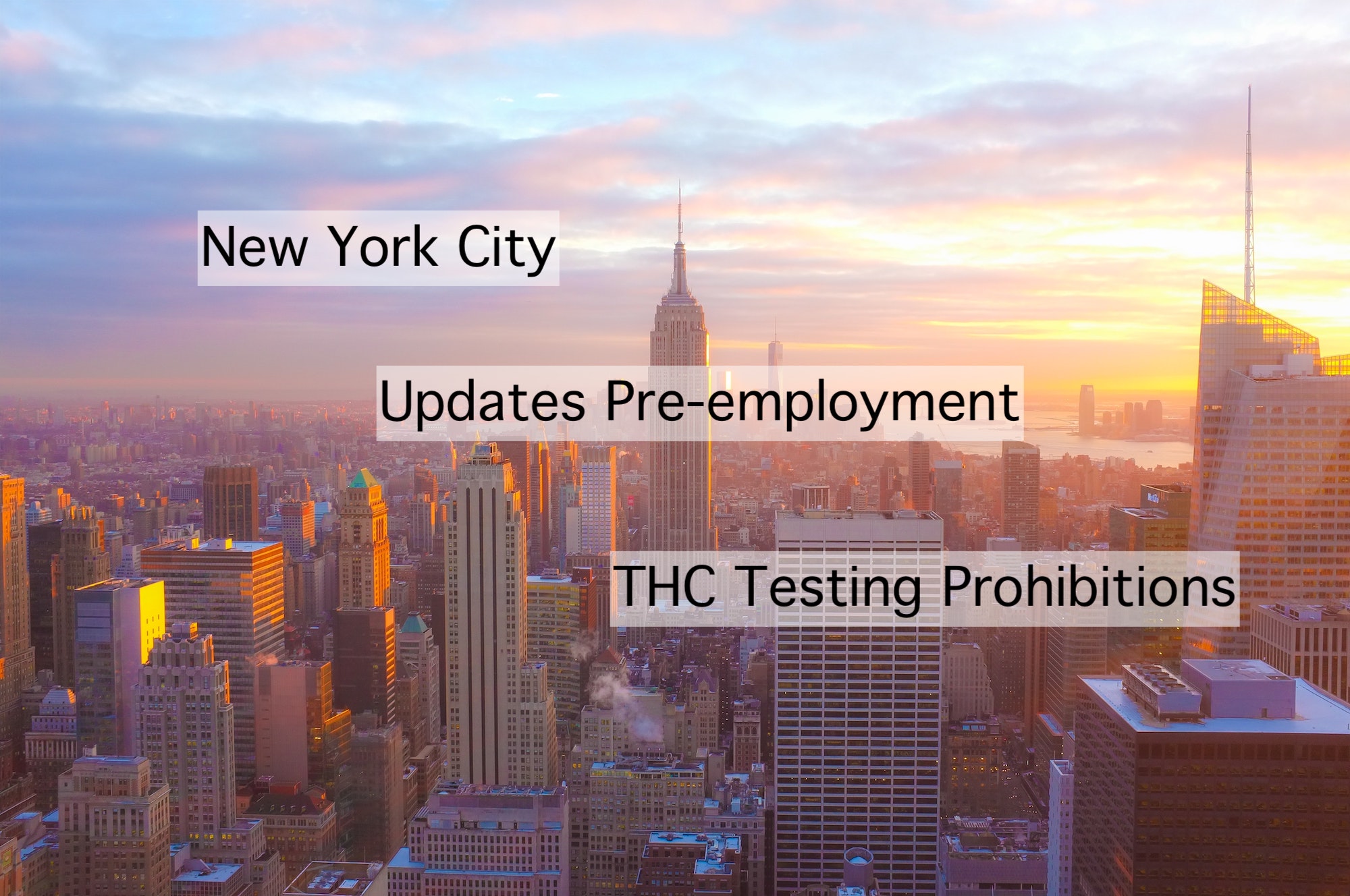 New York City Updates Preemployment THC Testing Prohibition Current